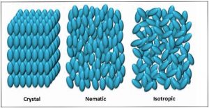 Liquid Crystal Phases