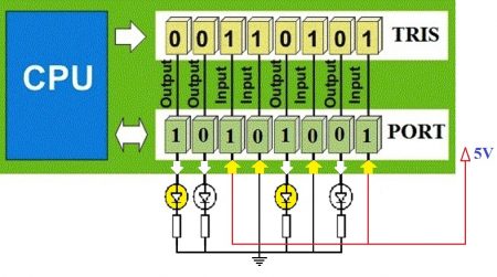 PORT and TRIS Register in PIC Microcontroller