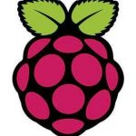 Raspberry Pi Foundation Logo