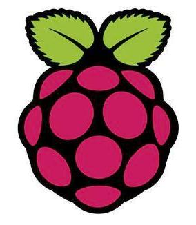 Raspberry Pi Foundation Logo