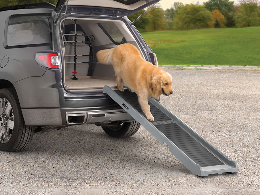 Dog Ramp