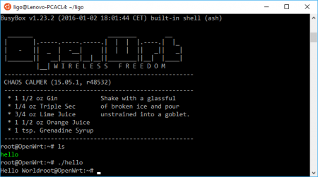 Executing the Binary File